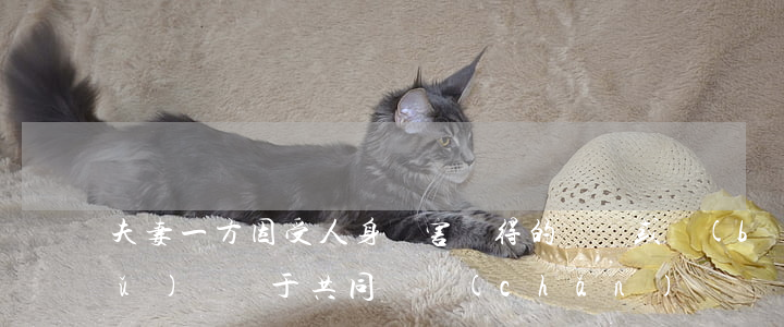 夫妻一方因受人身損害獲得的賠償或補(bǔ)償屬于共同財產(chǎn)嗎？